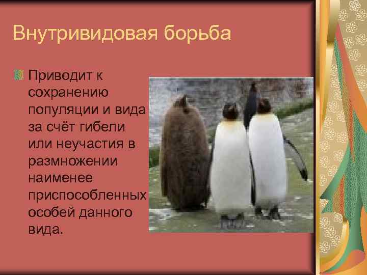 Внутривидовая борьба Приводит к сохранению популяции и вида за счёт гибели или неучастия в