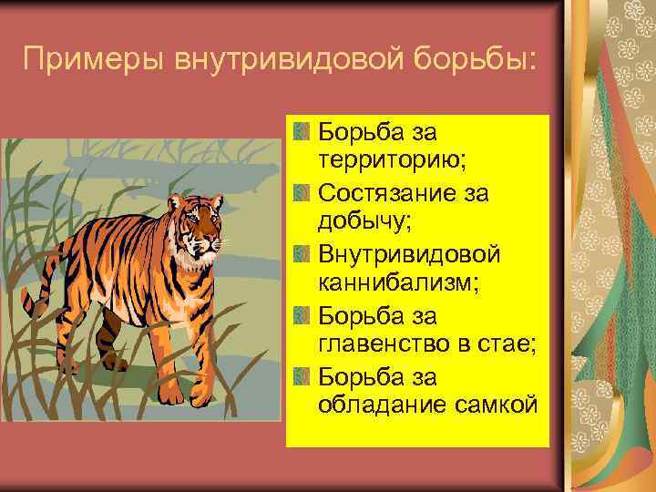 Примеры внутривидовой борьбы: Борьба за территорию; Состязание за добычу; Внутривидовой каннибализм; Борьба за главенство