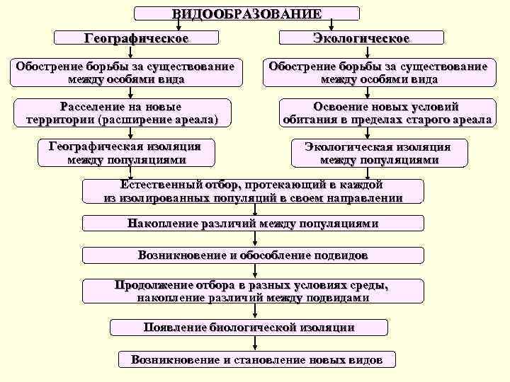 ВИДООБРАЗОВАНИЕ Географическое Обострение борьбы за существование между особями вида Расселение на новые территории (расширение
