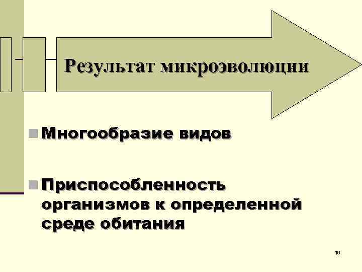 Результат микроэволюции n Многообразие видов n Приспособленность организмов к определенной среде обитания 16 