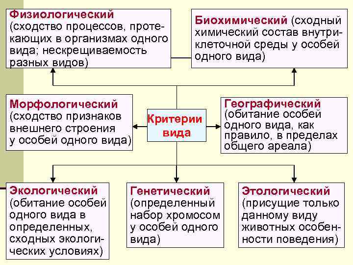 Физиологический (сходство процессов, протекающих в организмах одного вида; нескрещиваемость разных видов) Морфологический (сходство признаков