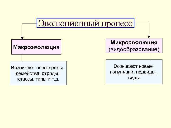 Эволюционный процесс Макроэволюция Микроэволюция (видообразование) Возникают новые роды, семейства, отряды, классы, типы и т.