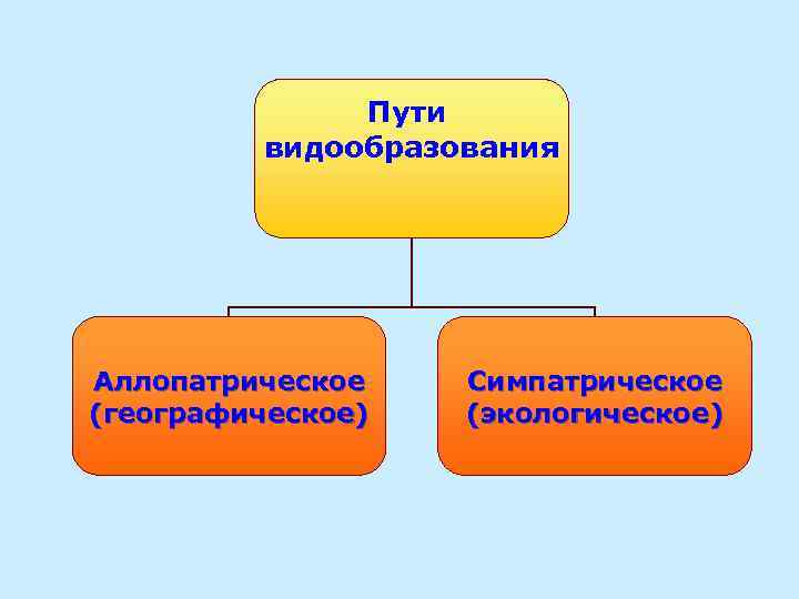 Пути видообразования Аллопатрическое (географическое) Симпатрическое (экологическое) 