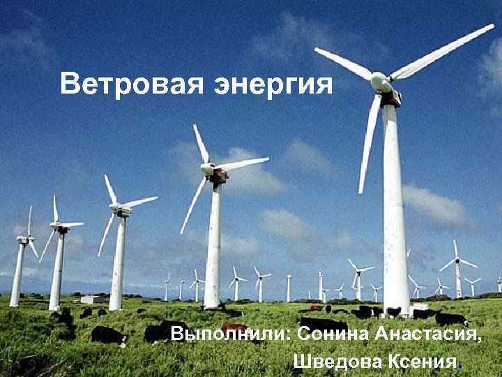 Ветровая энергия Выполнили: Сонина Анастасия, Шведова Ксения. 