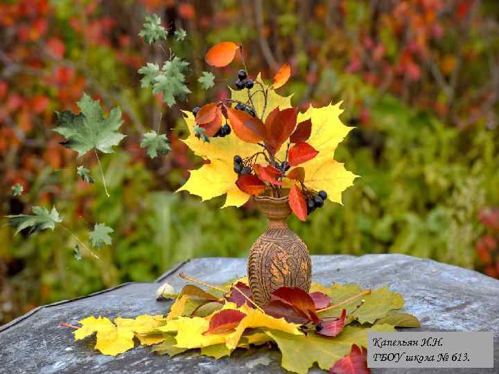 Капельян И. Н. ГБОУ школа № 613. 