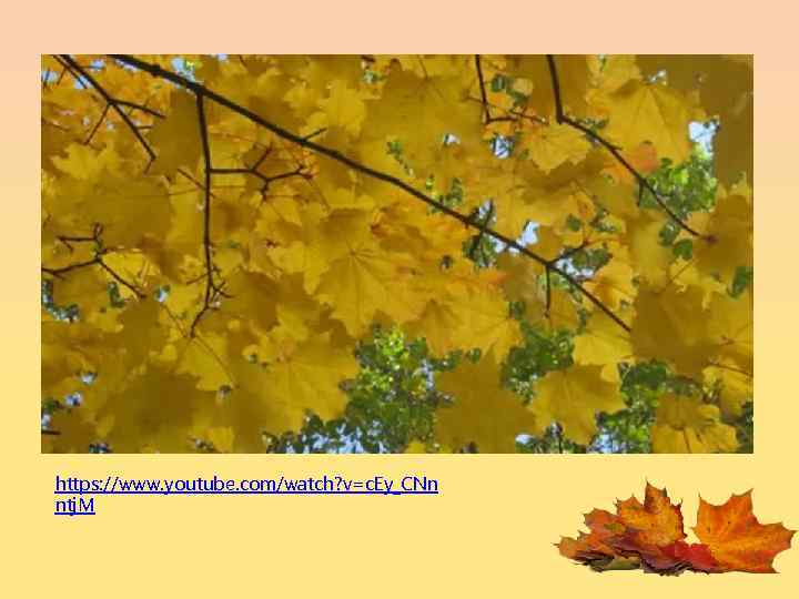 https: //www. youtube. com/watch? v=c. Ey_CNn ntj. M 