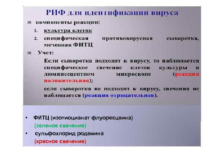  • • ФИТЦ (изотиоцианат флуоресцеина) (зеленое свечение) сульфохлорид родамина (красное свечение) 