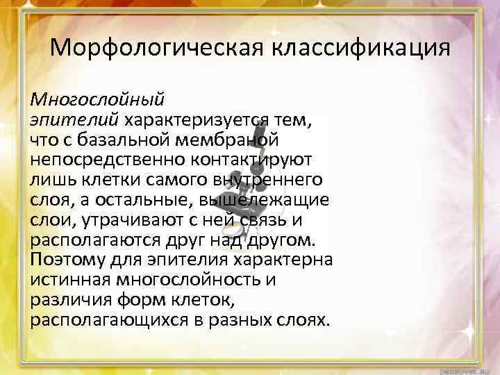 Морфологическая классификация Многослойный эпителий характеризуется тем, что с базальной мембраной непосредственно контактируют лишь клетки