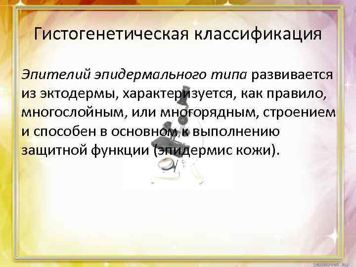 Гистогенетическая классификация Эпителий эпидермального типа развивается из эктодермы, характеризуется, как правило, многослойным, или многорядным,