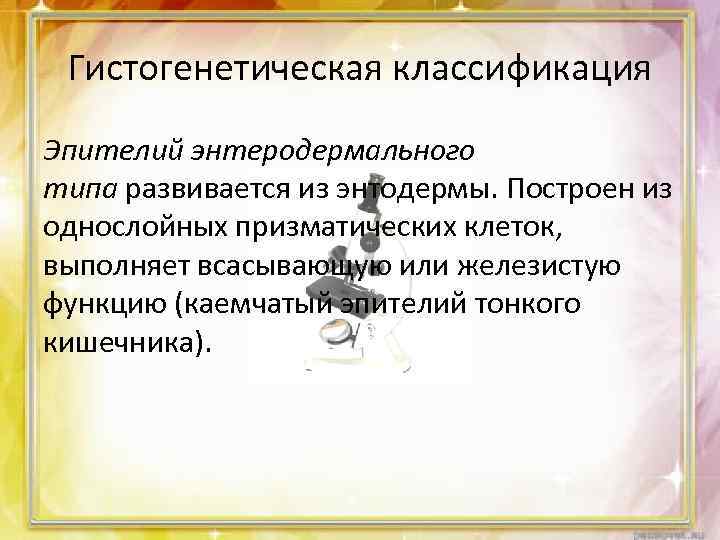 Гистогенетическая классификация Эпителий энтеродермального типа развивается из энтодермы. Построен из однослойных призматических клеток, выполняет