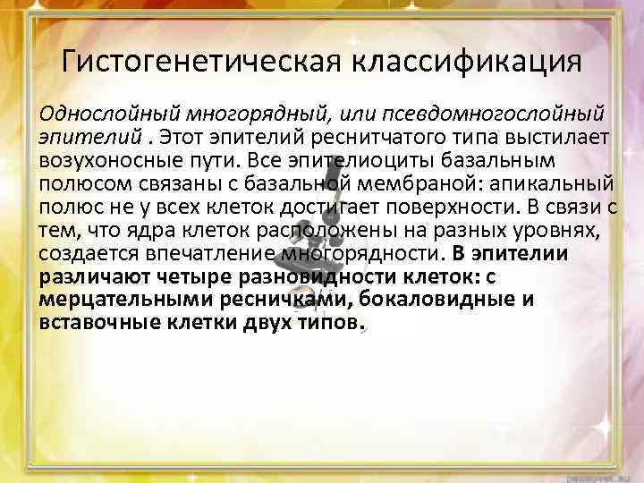 Гистогенетическая классификация Однослойный многорядный, или псевдомногослойный эпителий. Этот эпителий реснитчатого типа выстилает возухоносные пути.