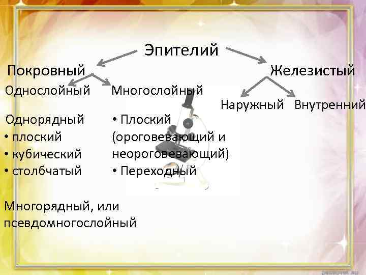 Эпителий Покровный Железистый Однослойный Многослойный Однорядный • плоский • кубический • столбчатый • Плоский