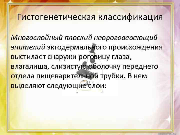 Гистогенетическая классификация Многослойный плоский неороговевающий эпителий эктодермального происхождения выстилает снаружи роговицу глаза, влагалища, слизистую
