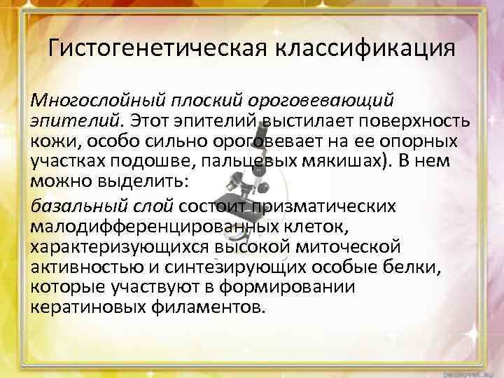 Гистогенетическая классификация Многослойный плоский ороговевающий эпителий. Этот эпителий выстилает поверхность кожи, особо сильно ороговевает