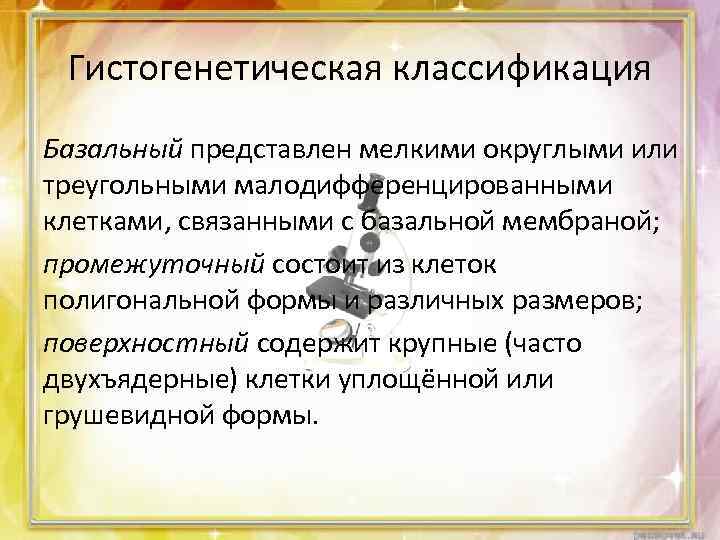 Гистогенетическая классификация Базальный представлен мелкими округлыми или треугольными малодифференцированными клетками, связанными с базальной мембраной;