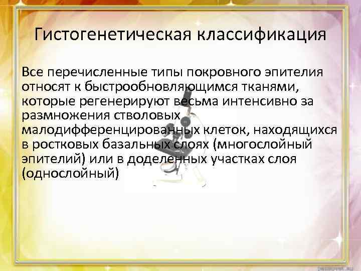 Гистогенетическая классификация Все перечисленные типы покровного эпителия относят к быстрообновляющимся тканями, которые регенерируют весьма