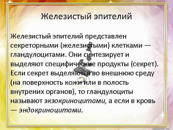Железистый эпителий представлен секреторными (железистыми) клетками — гландулоцитами. Они синтезирует и выделяют специфические продукты