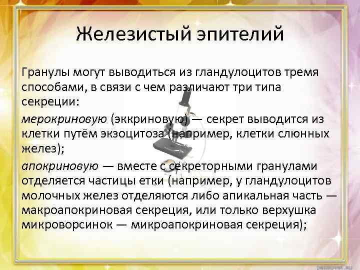 Железистый эпителий Гранулы могут выводиться из гландулоцитов тремя способами, в связи с чем различают