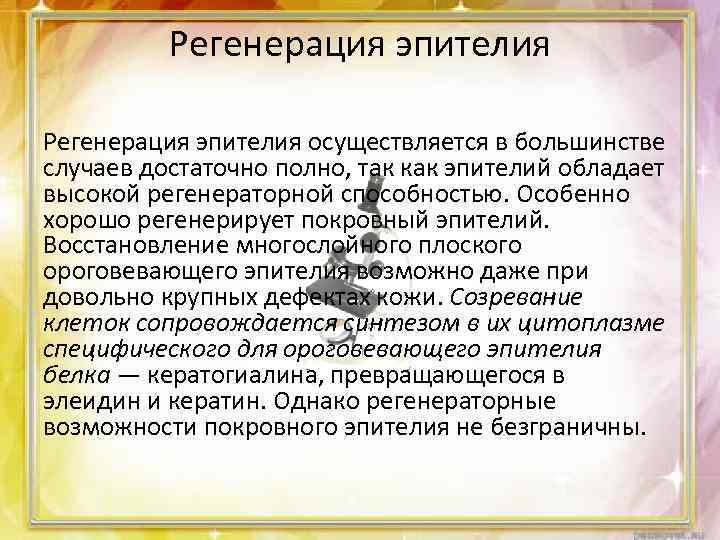 Регенерация эпителия осуществляется в большинстве случаев достаточно полно, так как эпителий обладает высокой регенераторной