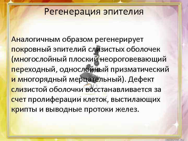 Регенерация эпителия Аналогичным образом регенерирует покровный эпителий слизистых оболочек (многослойный плоский неороговевающий переходный, однослойный