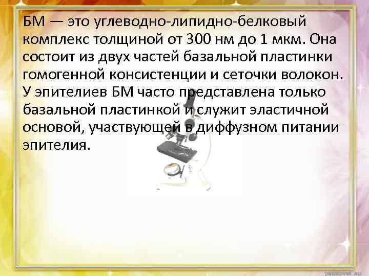 БМ — это углеводно-липидно-белковый комплекс толщиной от 300 нм до 1 мкм. Она состоит