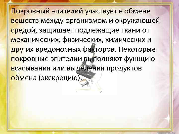 Покровный эпителий участвует в обмене веществ между организмом и окружающей средой, защищает подлежащие ткани