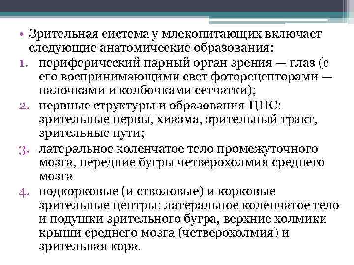  • Зрительная система у млекопитающих включает следующие анатомические образования: 1. периферический парный орган