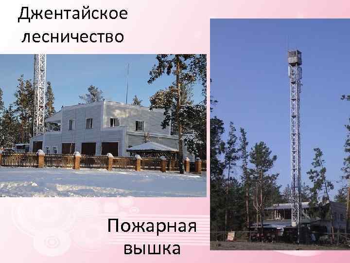 Джентайское лесничество Пожарная вышка 