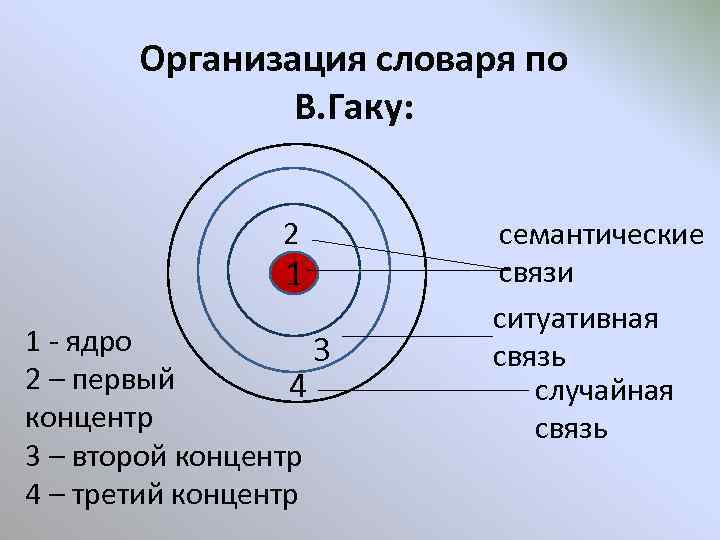 Организация словаря по В. Гаку: 2 1 1 - ядро 3 2 – первый