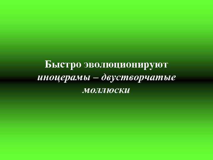 Быстро эволюционируют иноцерамы – двустворчатые моллюски 