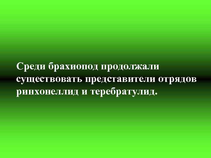 Среди брахиопод продолжали существовать представители отрядов ринхонеллид и теребратулид. 