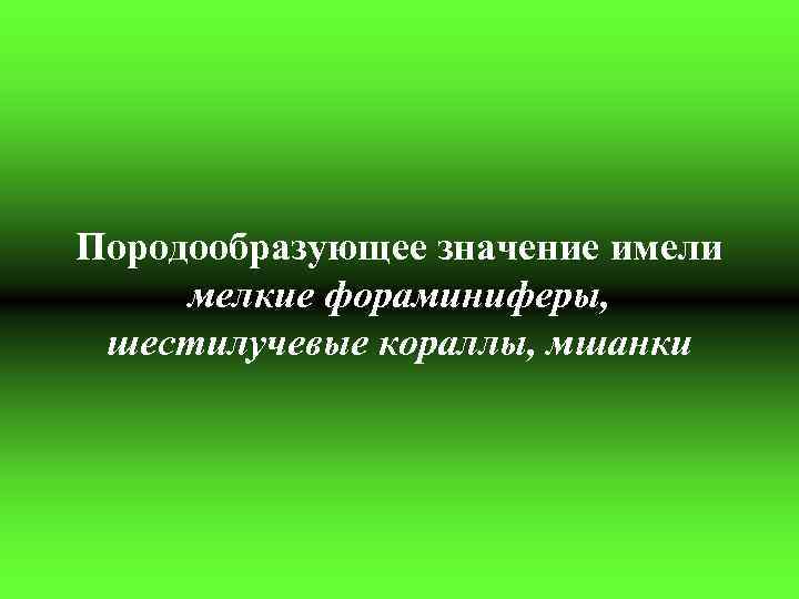 Породообразующее значение имели мелкие фораминиферы, шестилучевые кораллы, мшанки 