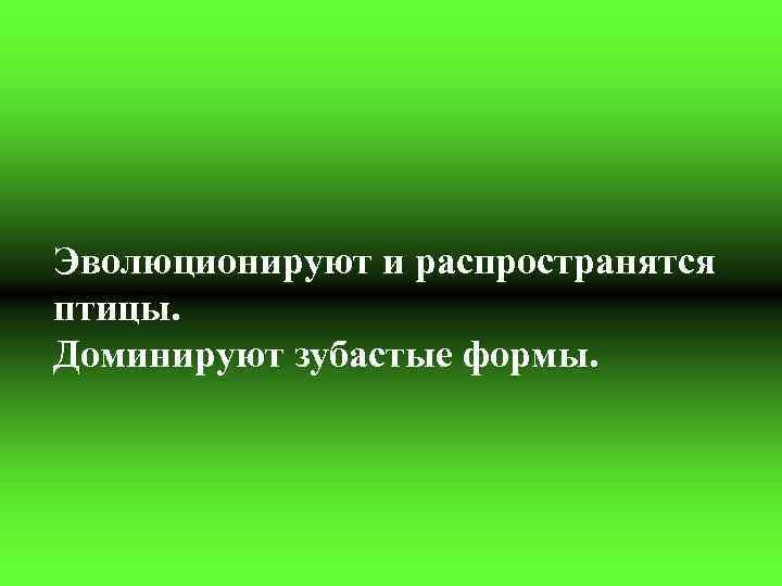 Эволюционируют и распространятся птицы. Доминируют зубастые формы. 