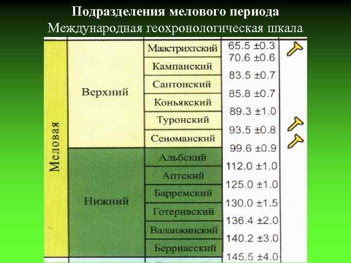 После какого периода