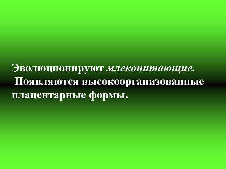 Эволюционируют млекопитающие. Появляются высокоорганизованные плацентарные формы. 