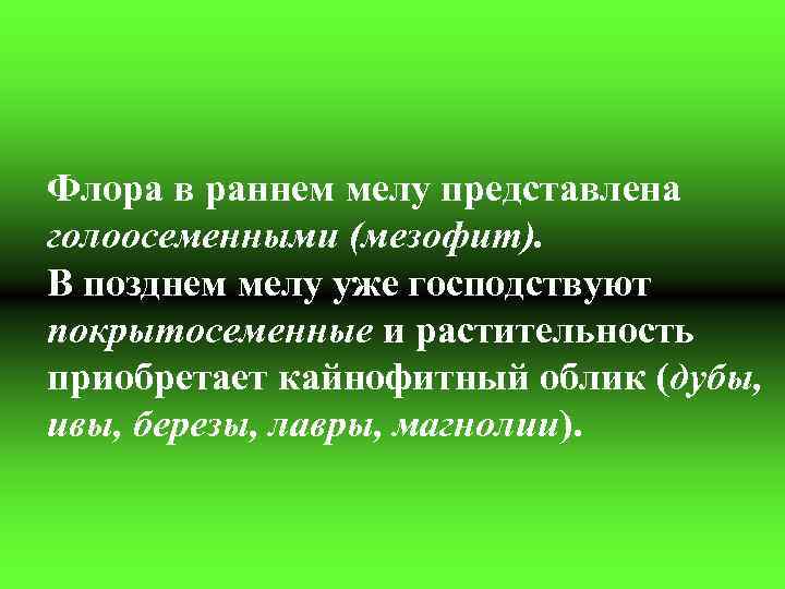 Флора в раннем мелу представлена голоосеменными (мезофит). В позднем мелу уже господствуют покрытосеменные и