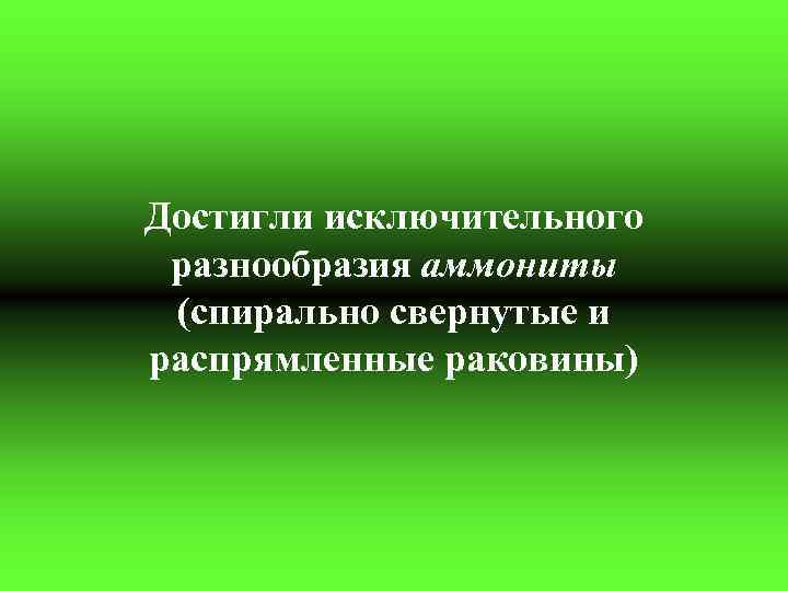 Достигли исключительного разнообразия аммониты (спирально свернутые и распрямленные раковины) 