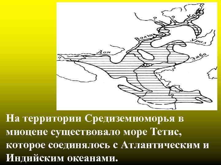 На территории Средиземноморья в миоцене существовало море Тетис, которое соединялось с Атлантическим и Индийским