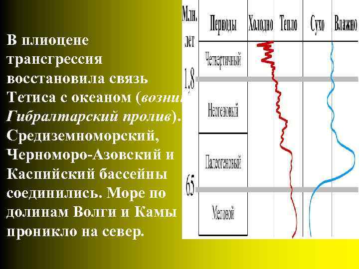 В плиоцене трансгрессия восстановила связь Тетиса с океаном (возник Гибралтарский пролив). Средиземноморский, Черноморо-Азовский и
