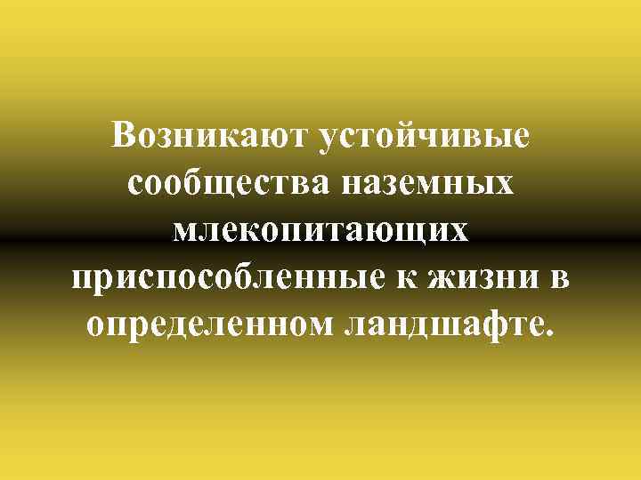 Возникают устойчивые сообщества наземных млекопитающих приспособленные к жизни в определенном ландшафте. 