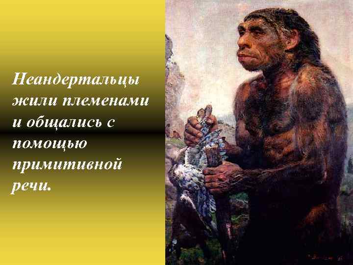 Неандертальцы жили племенами и общались с помощью примитивной речи. 