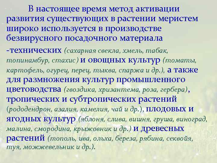 В настоящее время метод активации развития существующих в растении меристем широко используется в производстве