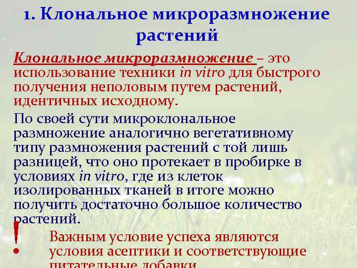 1. Клональное микроразмножение растений Клональное микроразмножение – это использование техники in vitro для быстрого