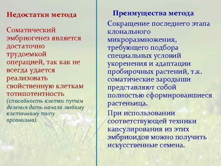 Недостатки метода Соматический эмбриогенез является достаточно трудоемкой операцией, так как не всегда удается реализовать