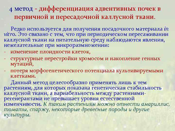 4 метод - дифференциация адвентивных почек в первичной и пересадочной каллусной ткани. Редко используется