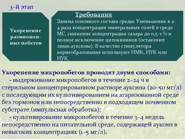 3–й этап Требования Укоренение размноженных побегов Замена основного состава среды. Уменьшение в 24 раза