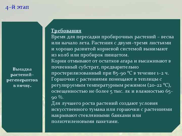 4–й этап Высадка растений– регенерантов в почву. Требования Время для пересадки пробирочных растений –