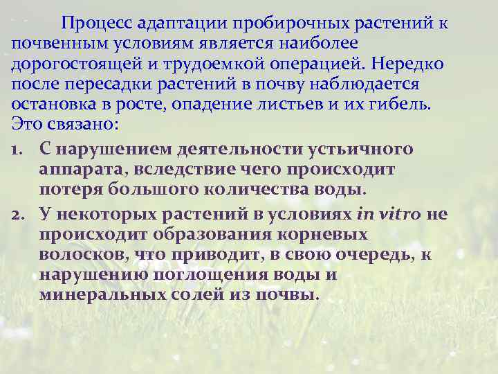 Процесс адаптации пробирочных растений к почвенным условиям является наиболее дорогостоящей и трудоемкой операцией. Нередко