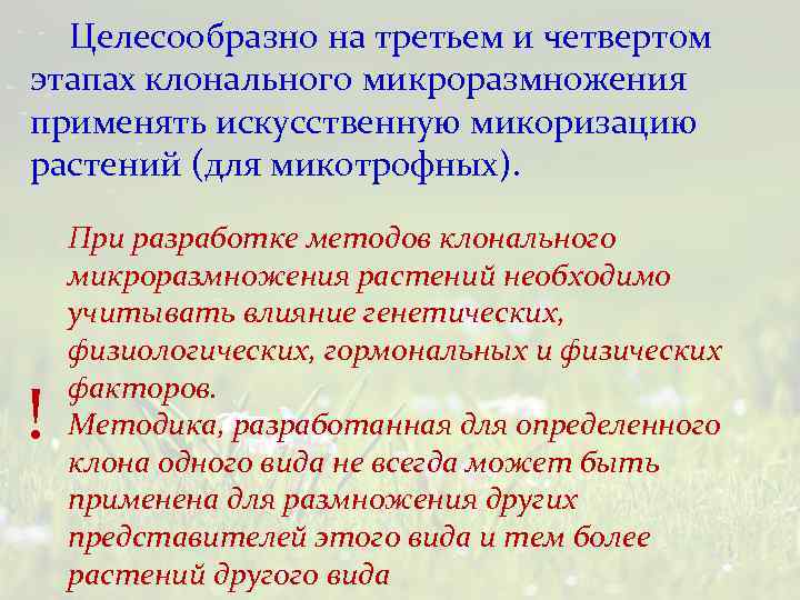 Целесообразно на третьем и четвертом этапах клонального микроразмножения применять искусственную микоризацию растений (для микотрофных).