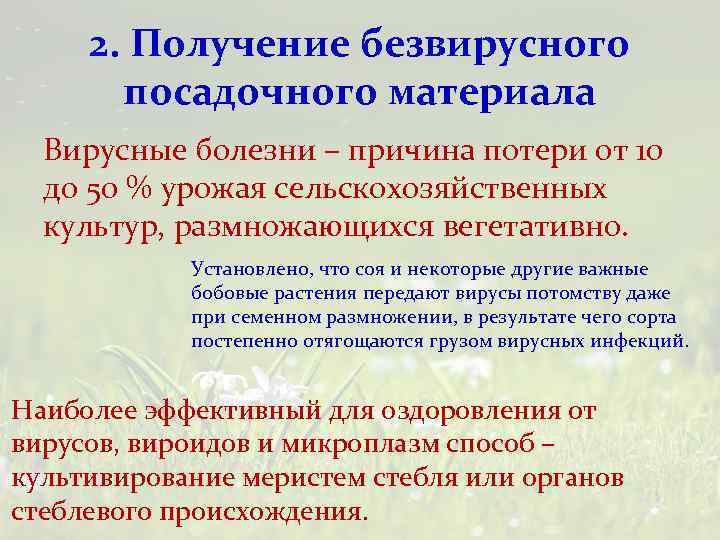 2. Получение безвирусного посадочного материала Вирусные болезни – причина потери от 10 до 50